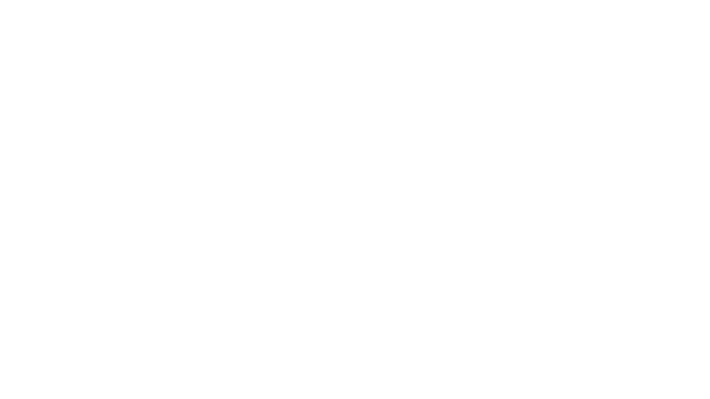 schneider-white